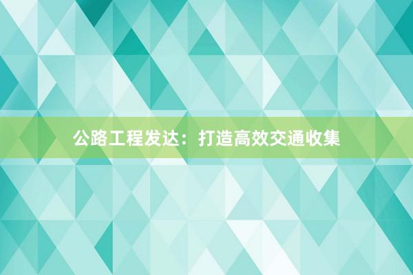 公路工程发达：打造高效交通收集